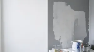 Jaka farba najlepiej kryje ściany