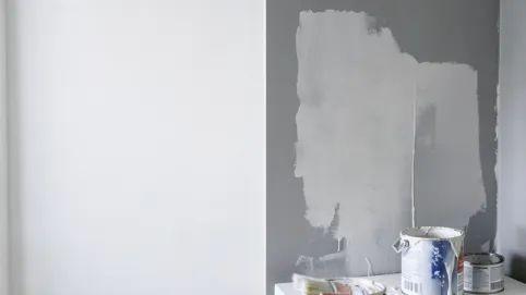 Jaka farba najlepiej kryje ściany